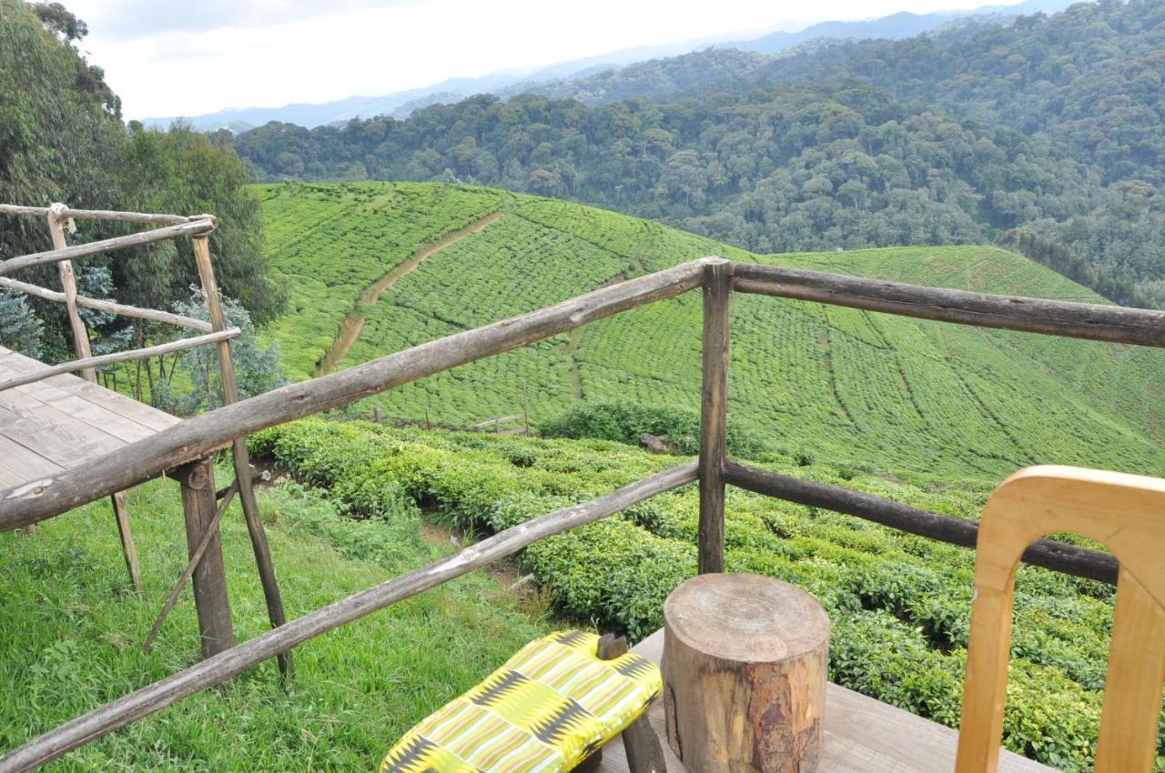 Nyungwe Nziza Ecolodge Kitabi Exterior photo