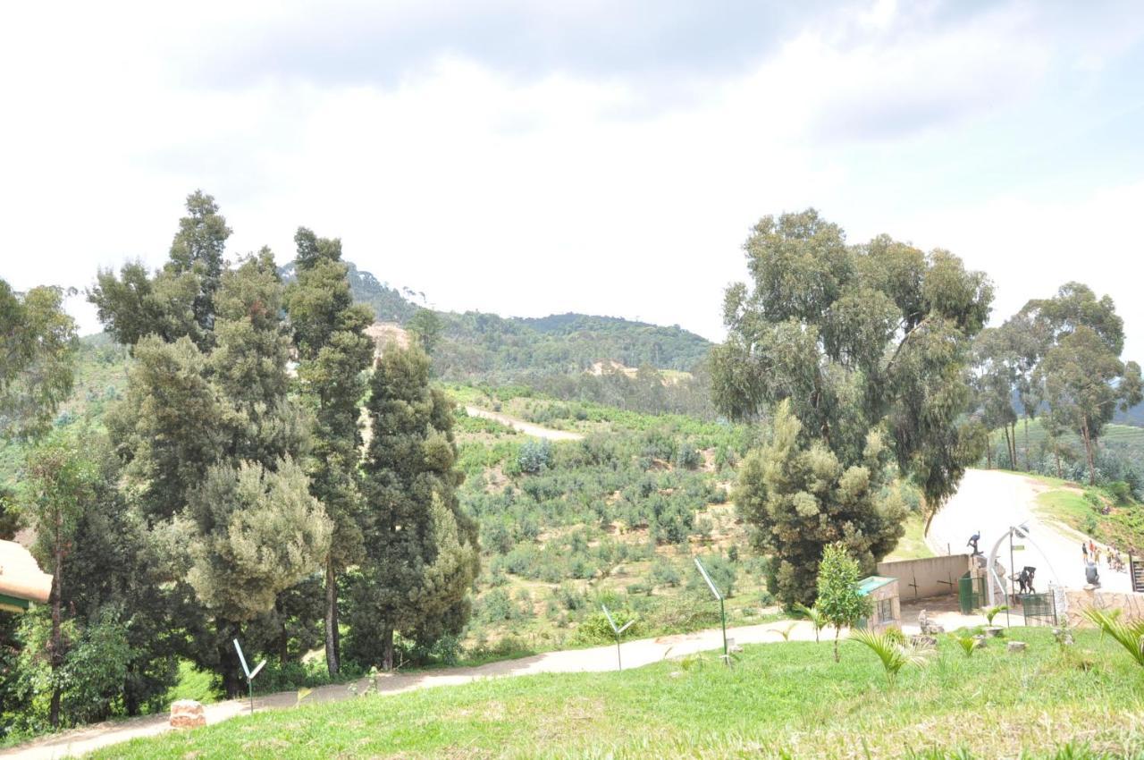 Nyungwe Nziza Ecolodge Kitabi Exterior photo