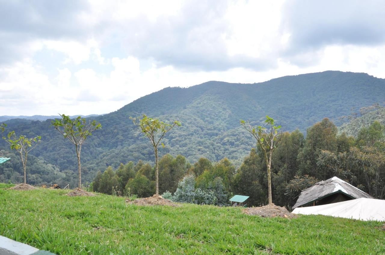 Nyungwe Nziza Ecolodge Kitabi Exterior photo