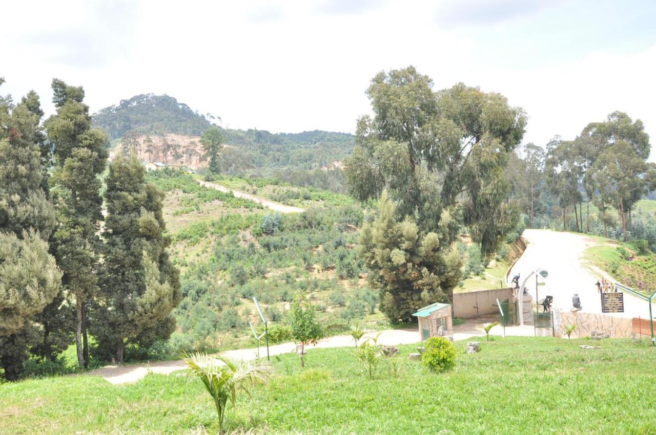 Nyungwe Nziza Ecolodge Kitabi Exterior photo